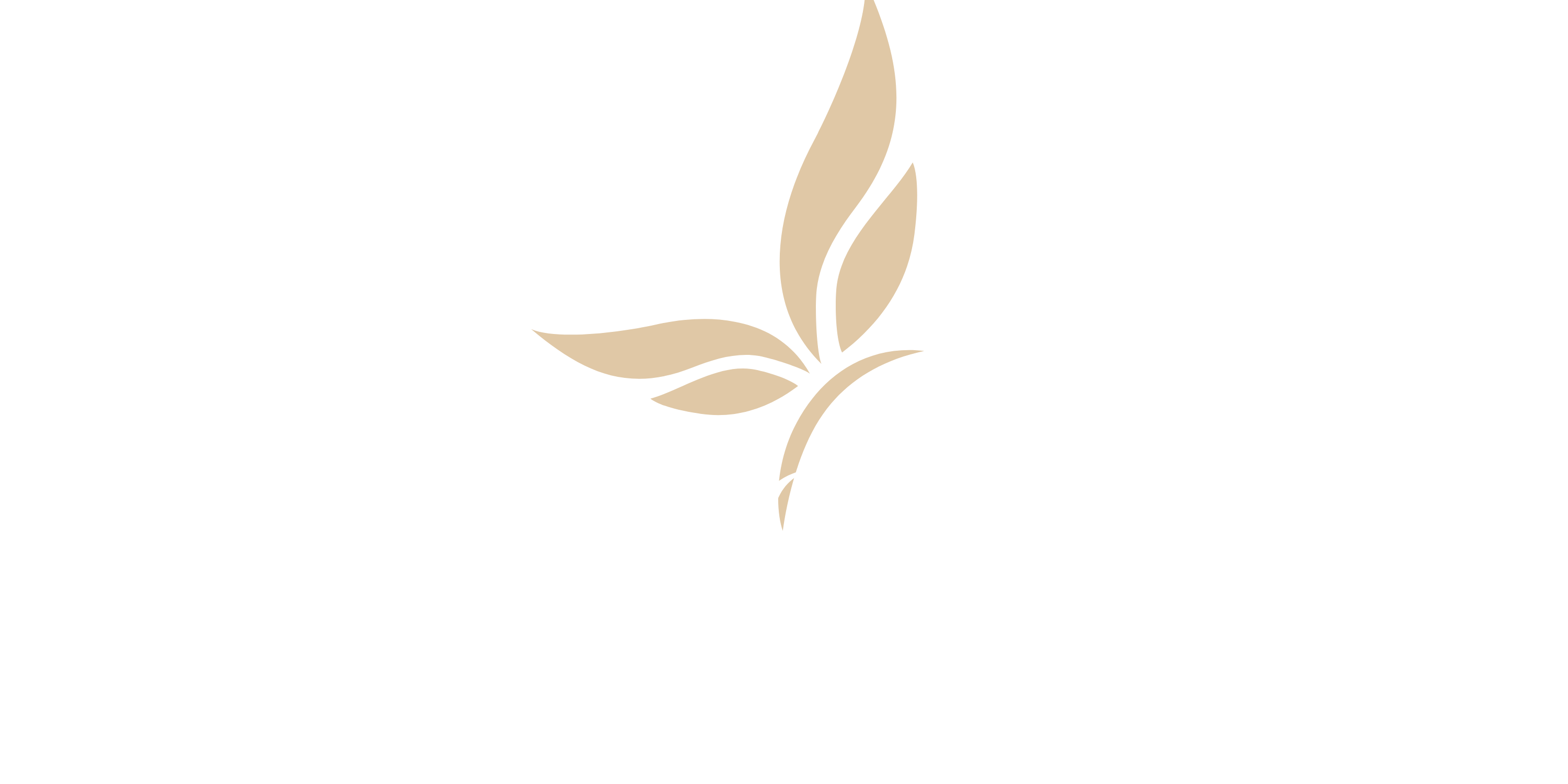 logo main